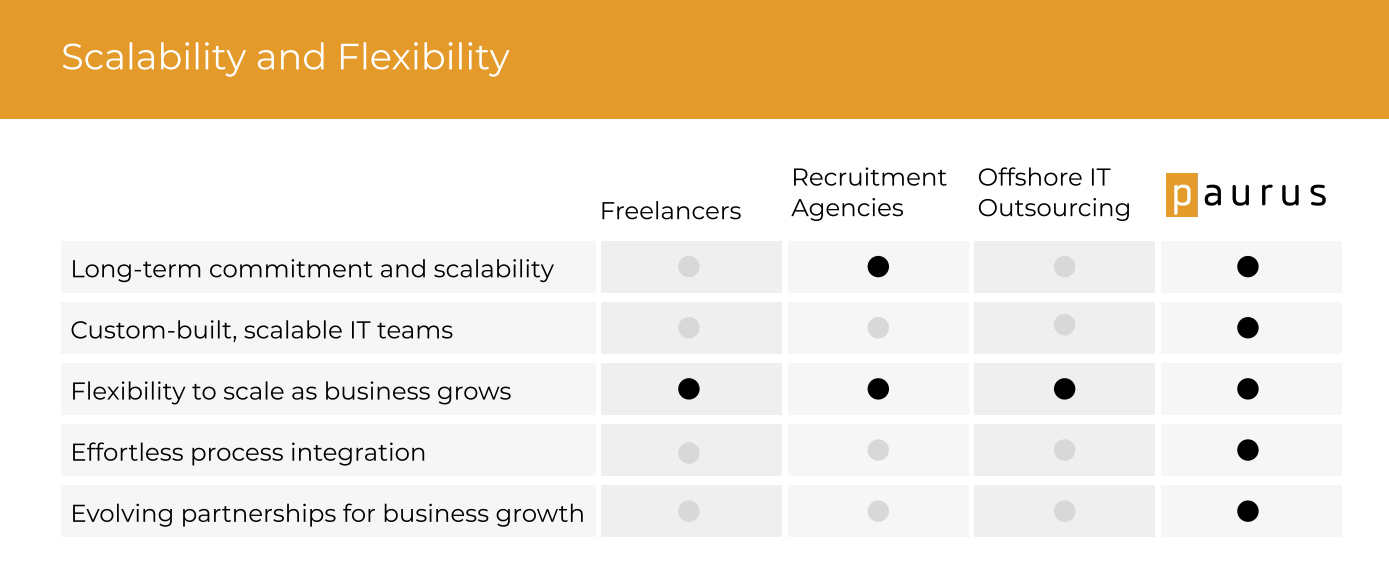 paurus-it-teams-for-high-stakes-environments